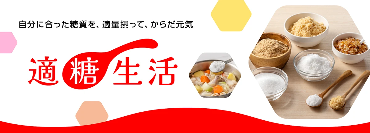 自分に合った糖質を、適量摂って、からだ元気 適糖生活