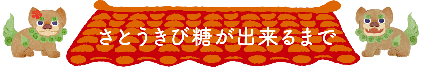 さとうきび糖が出来るまで